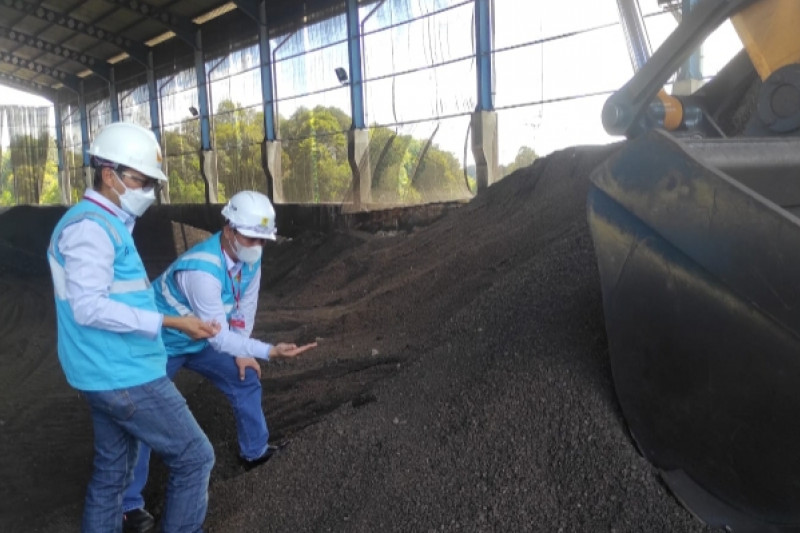 Tekan Emisi, PLN Manfaatkan Limbah Sawit Jadi Bahan Bakar PLTU Berau